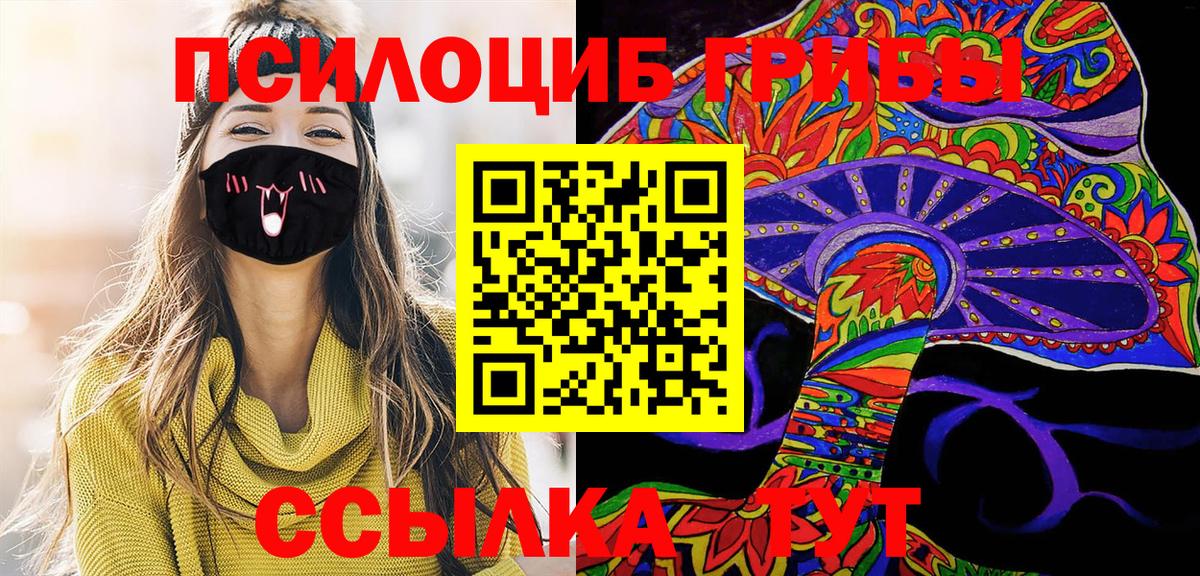 Галлюциногенные грибы ЛСД  Вход с VPN  сколько стоит  Кингисепп  Псилоцибиновые грибы Psilocybe 