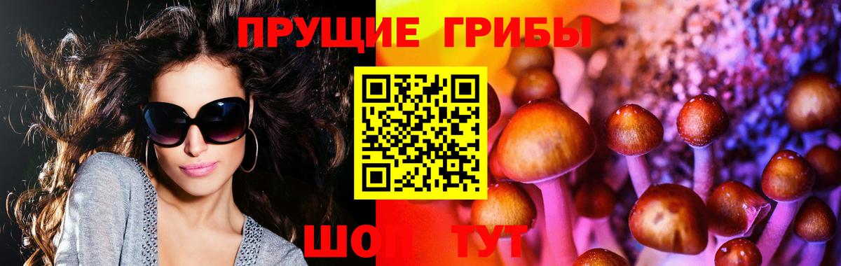 Галлюциногенные грибы ЛСД Кингисепп